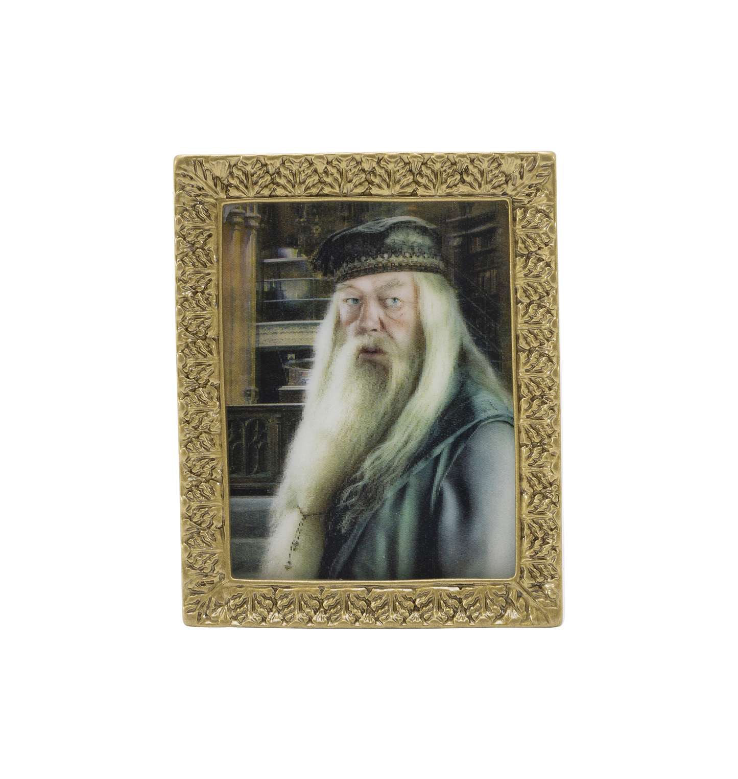 ハリー・ポッター 肖像画マグネットコレクション