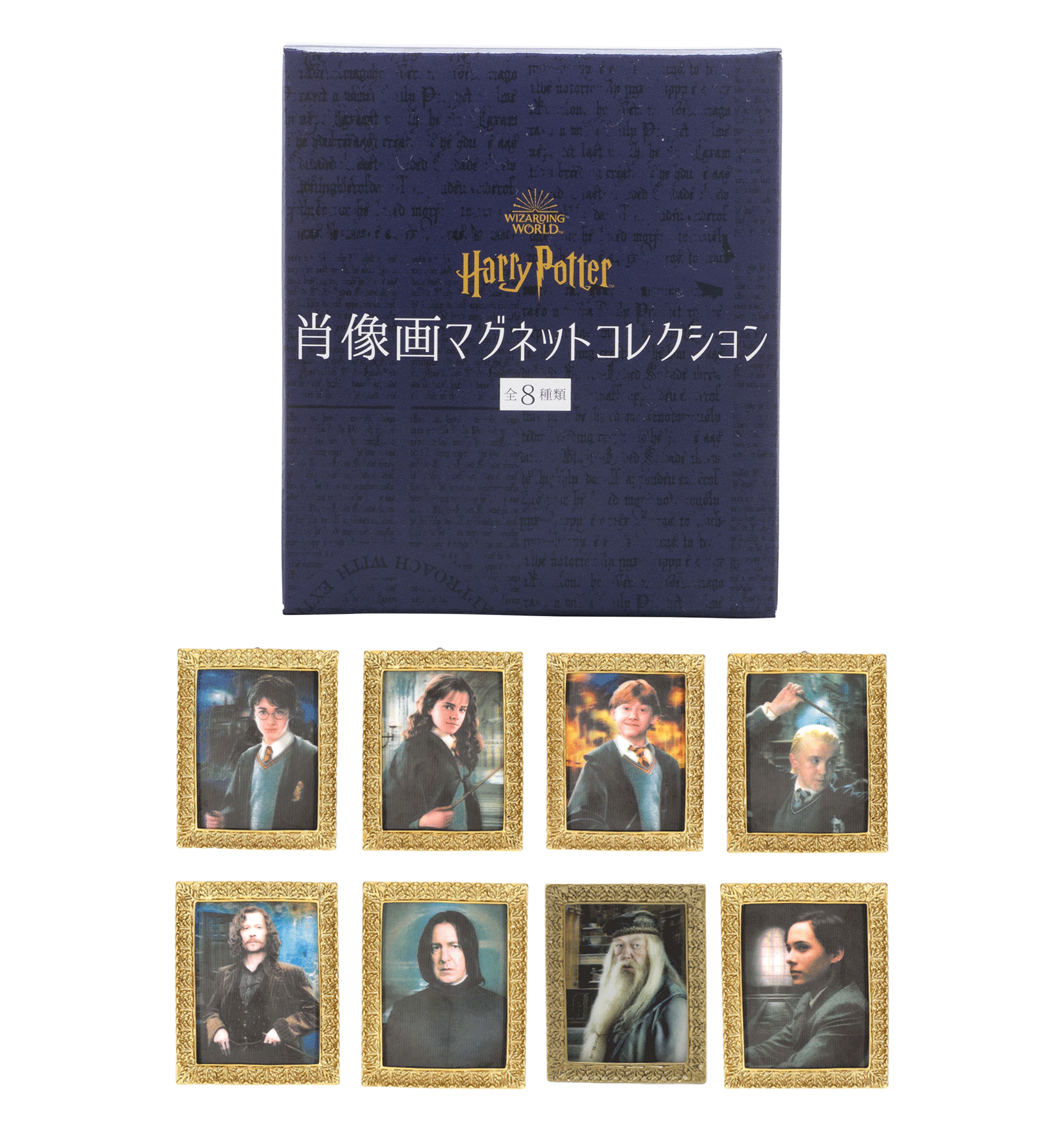 Portrait Magnet Collection Complete Box｜Harry Potter Shop Online