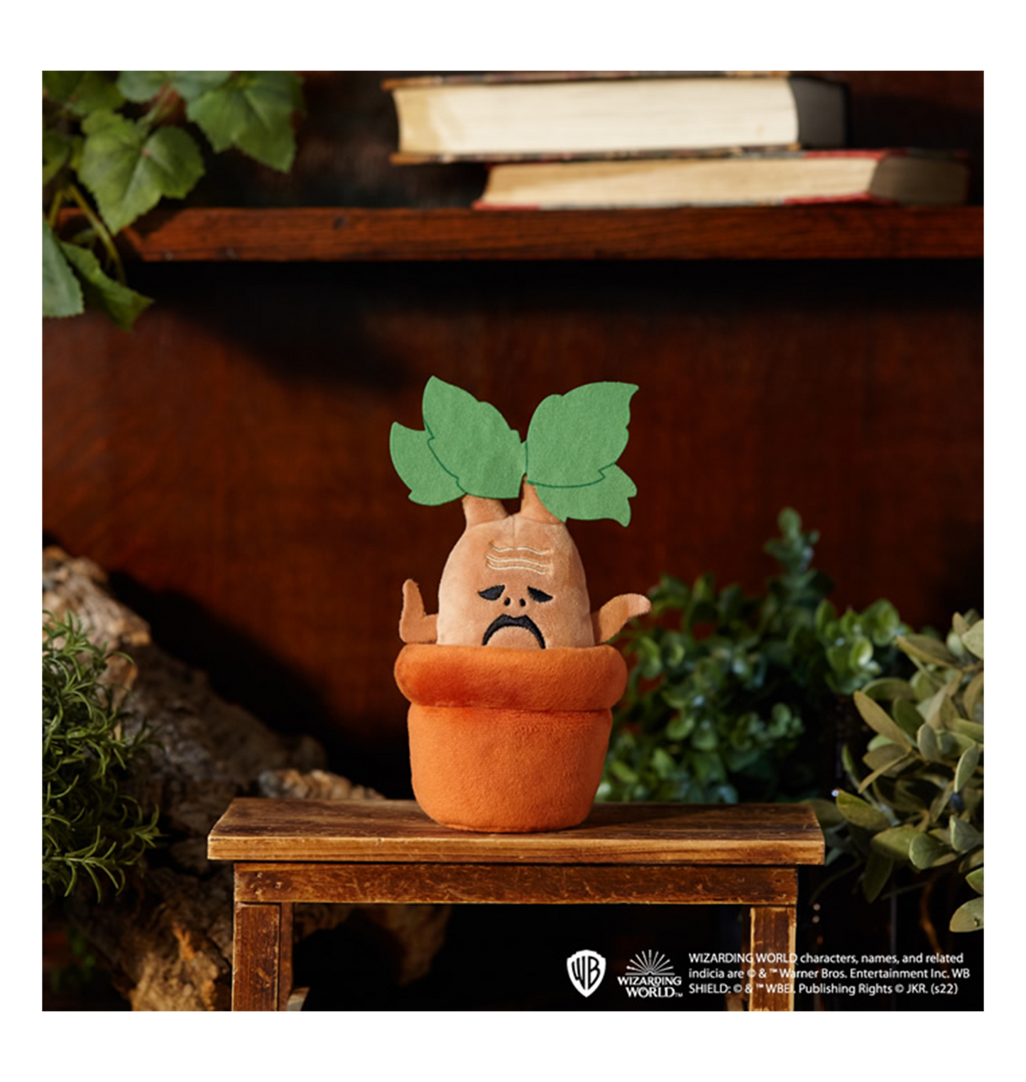 ミニマンドレイク ぬいぐるみ