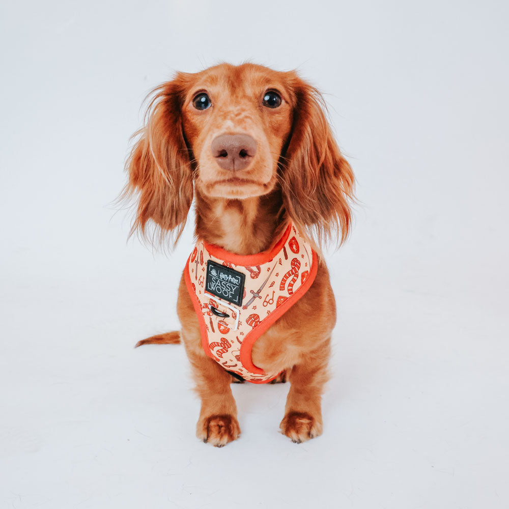 グリフィンドール ドッグ ハーネス Sassy Woofコラボレーション