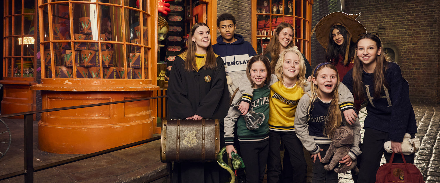 Harry Potter Toys and Games