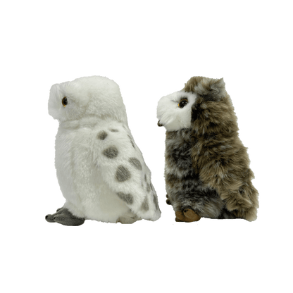 ふくろう ボックスセット