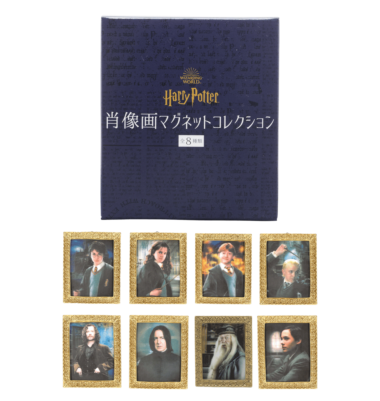 ハリー・ポッター　肖像画マグネットコレクション