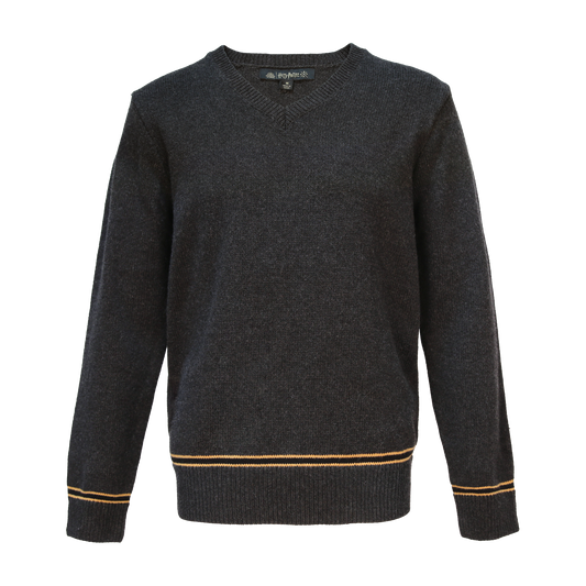 グリフィンドール⚡︎ページ バック トゥ ホグワーツ | ハリー・ポッター ショップ