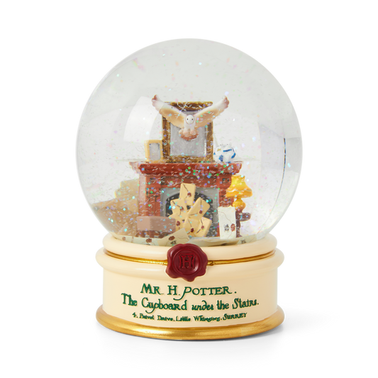 Acceptance Letter Snow Globe