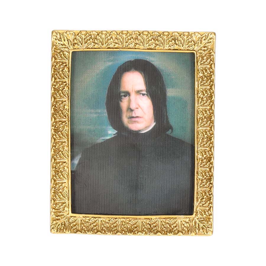 ハリー・ポッター 肖像画マグネットコレクション ハリー・ポッター 肖像画コレクションマグネットコレクション 全8種