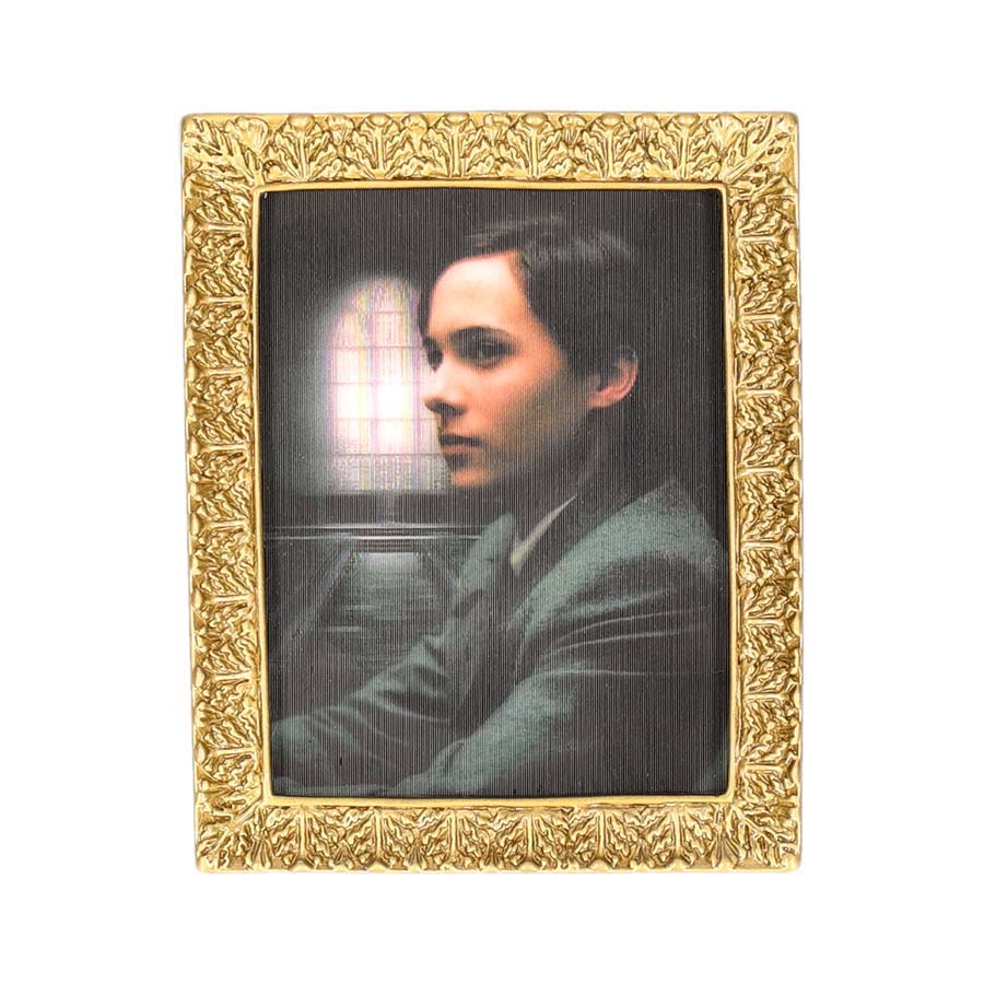 ハリー・ポッター 肖像画マグネットコレクション ハリー・ポッター 肖像画マグネットコレクション | ハリー・ポッター