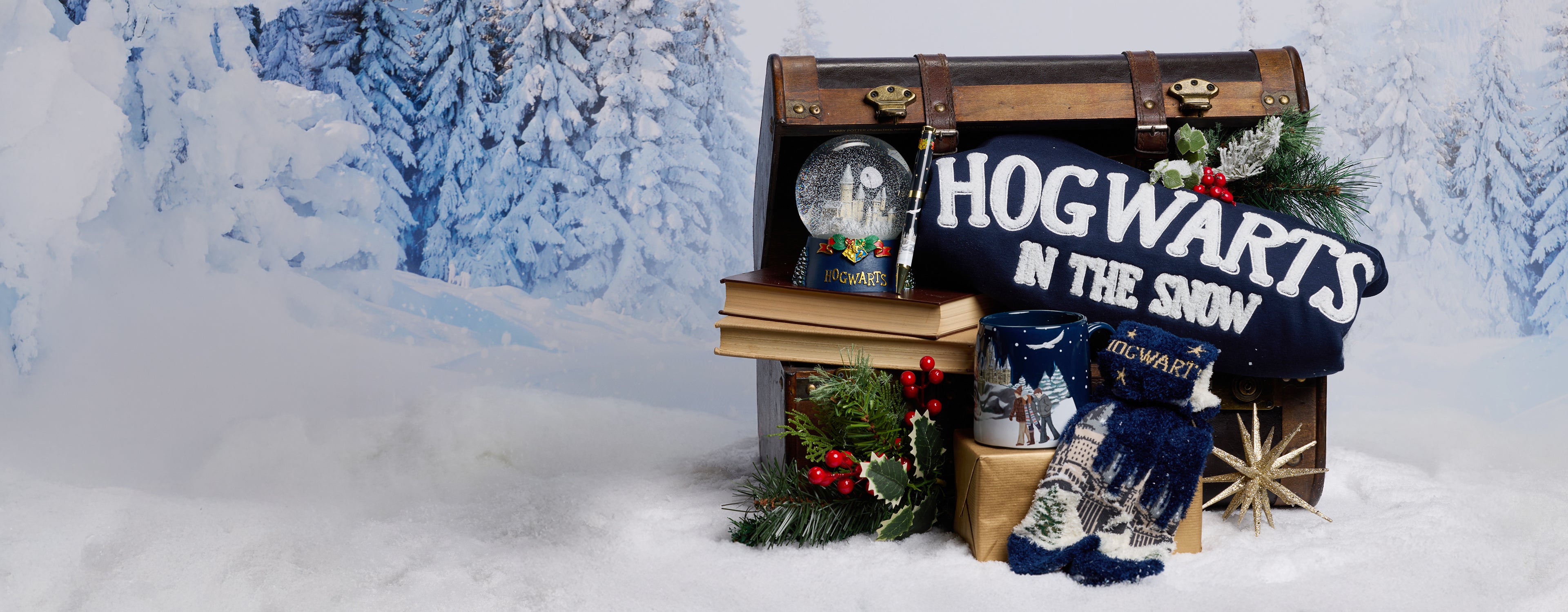 ハリー・ポッター ショップ オンライン ジャパン | ワーナーブラザース