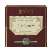 Harry Potter-themed Hogwarts Express ticket in a maroon folder