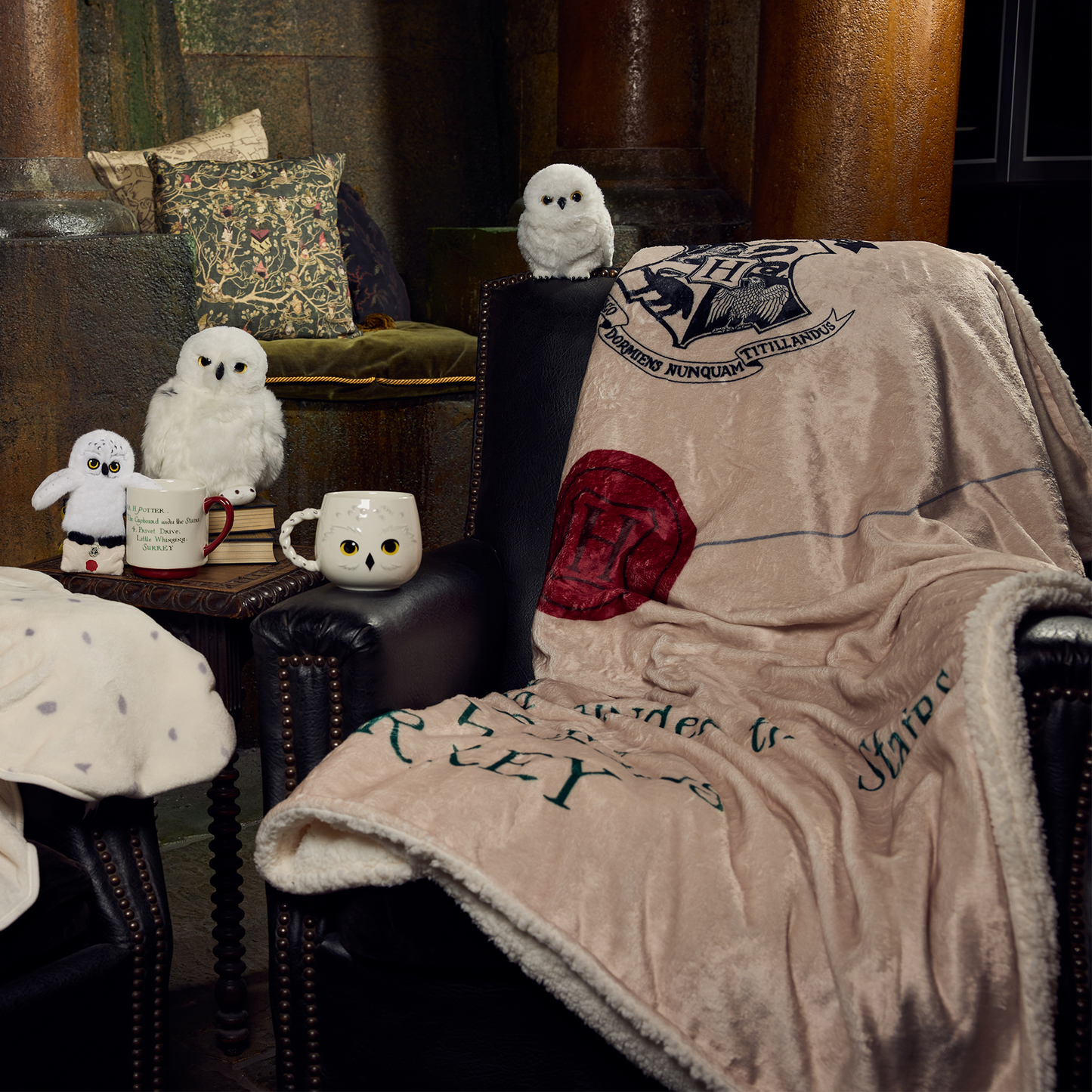 ホグワーツ入学許可証 ブランケット