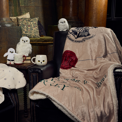 ホグワーツ入学許可証 ブランケット